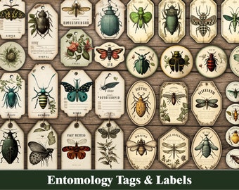 Junk Journal Ephemera Entomologie Insekt Schmetterling Junk Journal Tags Etiketten Druckbares Zubehör Schmetterlinge Insekten Botanische Natur Wald