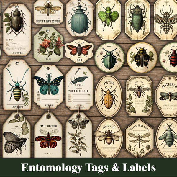Junk Journal Ephemera Entomologie Insect Vlinder Junk Journal Tags Etiketten Afdrukbare benodigdheden Vlinders Insecten Botanische Natuur Bos