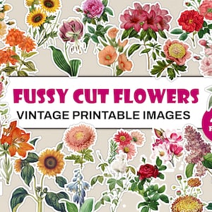 Kieskeurige snijbloemen | 400+ bloemen kieskeurige snitten | Kieskeurige snijbloem digitale bladen | Botanische kieskeurige kortstondige verschijnselen voor ongewenste tijdschriften