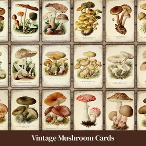 Junk Journal Cards, Mushroom Ephemera Pack, Fall Junk Journal Kit, Printable Forest Junk Journal, Digital Junk Journal Kit, Ephemera Bundle