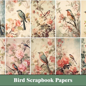 Album per ritagli di uccelli Pagine di diario spazzatura di carta Diario spazzatura floreale Rosa Natura Stampabile Uccello Effimera Forniture artigianali di carta digitale Fiori di uccelli