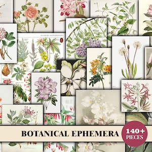 Efímera botánica para diarios basura, Efímera floral de diario basura, Tarjetas de diario basura imprimibles, vegetación, flores, paquete de efímeras, paquete