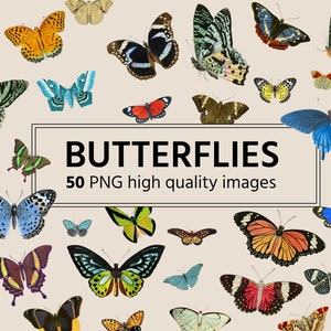 May include: A collection of 50 high-quality butterfly images in PNG format. The butterflies are depicted in various colours, patterns, and poses, including blue, green, red, yellow, and black.
