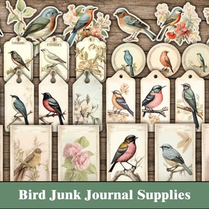 Vogel Junk Journal Kit Fussy Cut Birds Supplies Floral Junk Journal Craft Scrapbook Supplies Rose Nature Druckbare botanische Ephemera