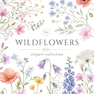 Clipart di fiori selvatici ad acquerello, elementi floreali, clipart di fiori di prato, fiori selvatici botanici PNG, set di fiori cottagecore, fiori selvatici