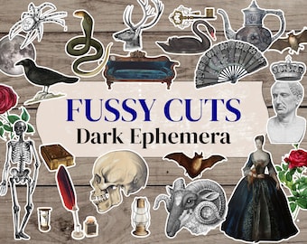 Puede incluir: Una colección de ilustraciones de efímeras oscuras, que incluyen una calavera, un murciélago, un carnero, un esqueleto, un cuervo, una serpiente, una rosa, un abanico, una llave, un cisne, una tetera, una luna, una araña, un libro, una pluma, un reloj de arena, una linterna, una corona, un busto y una mujer con un vestido. El texto "Fussy Cuts Dark Ephemera" se muestra en el centro de la imagen.