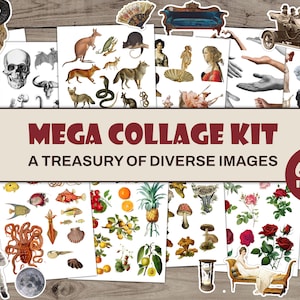 Kit mega collage | Oltre 600 immagini tagliate con precisione | Riviste per Collage | Pacchetto Ephemera per diari spazzatura