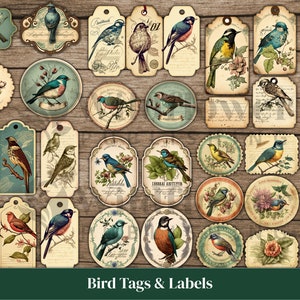 Etiquetas de diario basura de aves, etiquetas de diario basura, pájaros cortados quisquillosos, paquete de efímeras de aves, etiquetas de diario basura imprimibles kit de diario basura digital