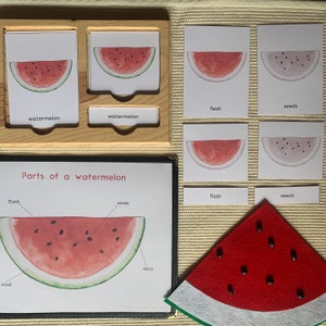 Parts of a Watermelon, 3 Part Cards, Montessori, Homeschool