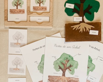 Spanish Parts of a tree 3 Part Cards, Montessori, Homeschool, botany, árbol