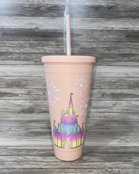 Disney Castle Acrylic Travel Tumbler With Lid and Straw 32oz Premium  Insulated Double Wall Matte Blush 