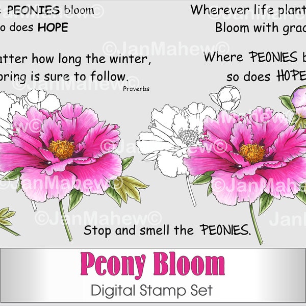 Peony Bloom Digital Stamp Set- Instant Digital Download