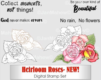 Heirloom Roses Digital Stamp Set- Instant Digital Download