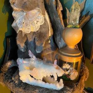 Crystalized Coyote Skull