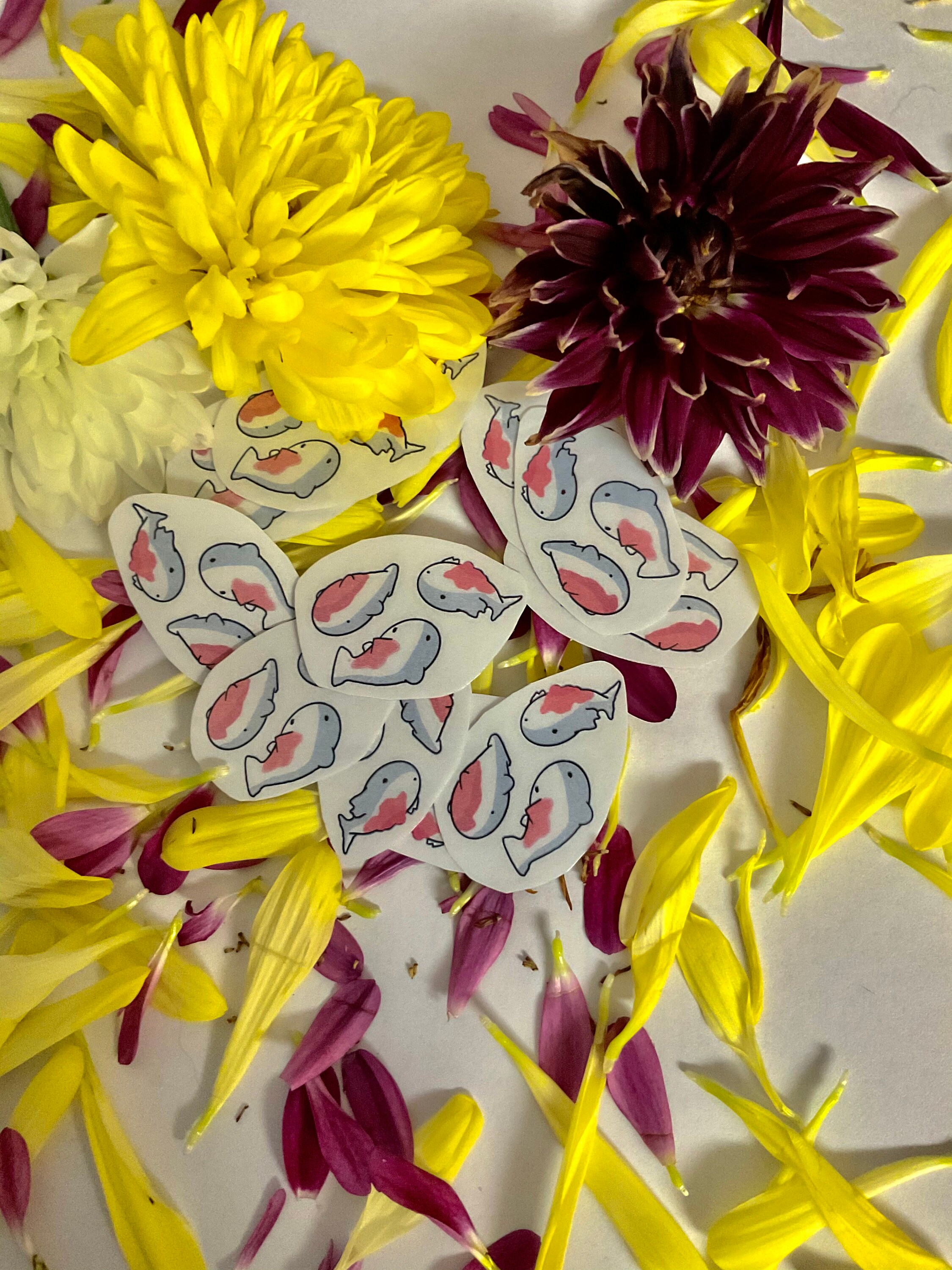 Baby Coy fish waterproof sticker Etsy