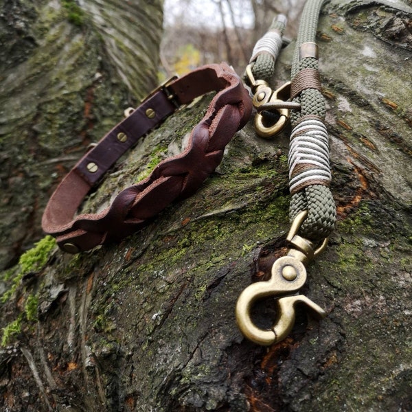 Dog leash made of rope I Tauleine | Leather collar | Set | Premium dog leash rope | Olive