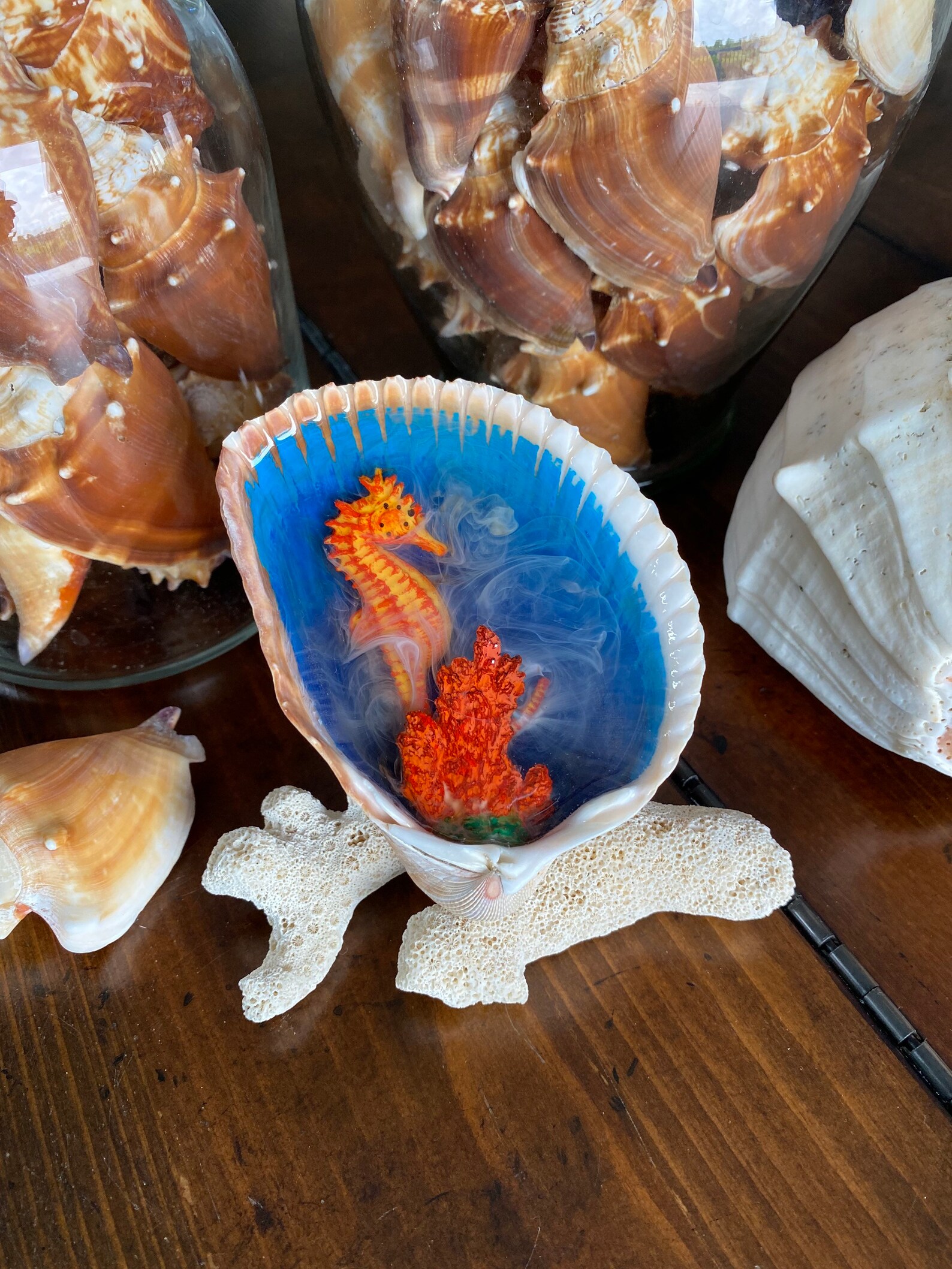 Seashell Epoxy Resin Art Seahorse Original Souvenir Etsy
