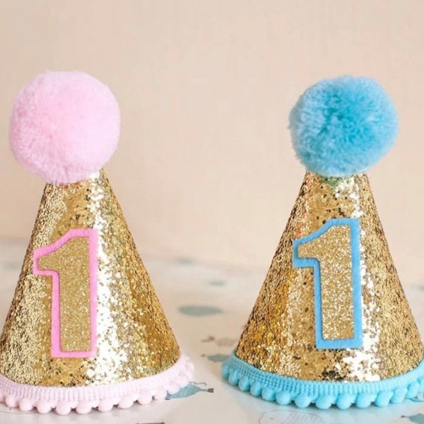 First birthday hat | baby hat | pet birthday