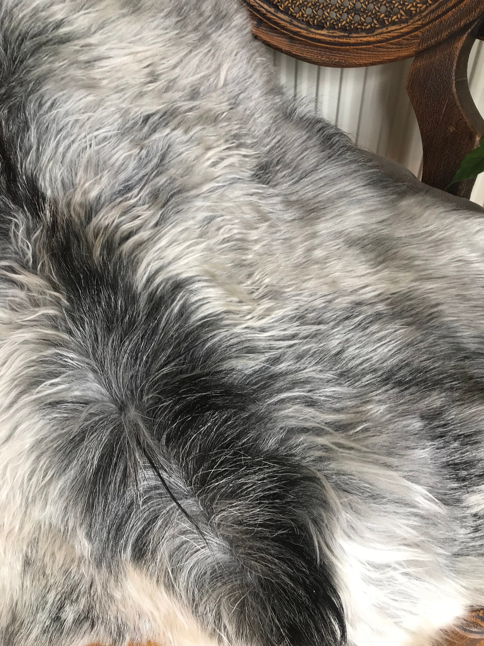 angora goat hide angora goat hide