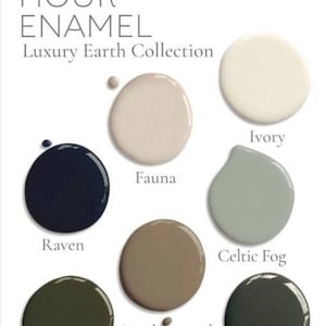 May include: One Hour Enamel paint colour chart featuring ten paint colours: Raven, Dark Forest, Leatherwood, Celtic Fog, Wrought Iron, Ivory, Fauna, and more. Wise Owl Paint.