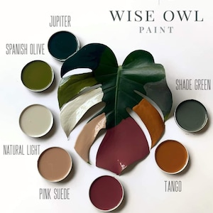 May include: A collection of paint samples in small jars, arranged around a large green leaf. The paint colours are: Spanish Olive, Jupiter, Natural Light, Pink Suede, Rosewood, Tango, and Shade Green. The text "WO WISE OWL PAINT" is at the top of the image.