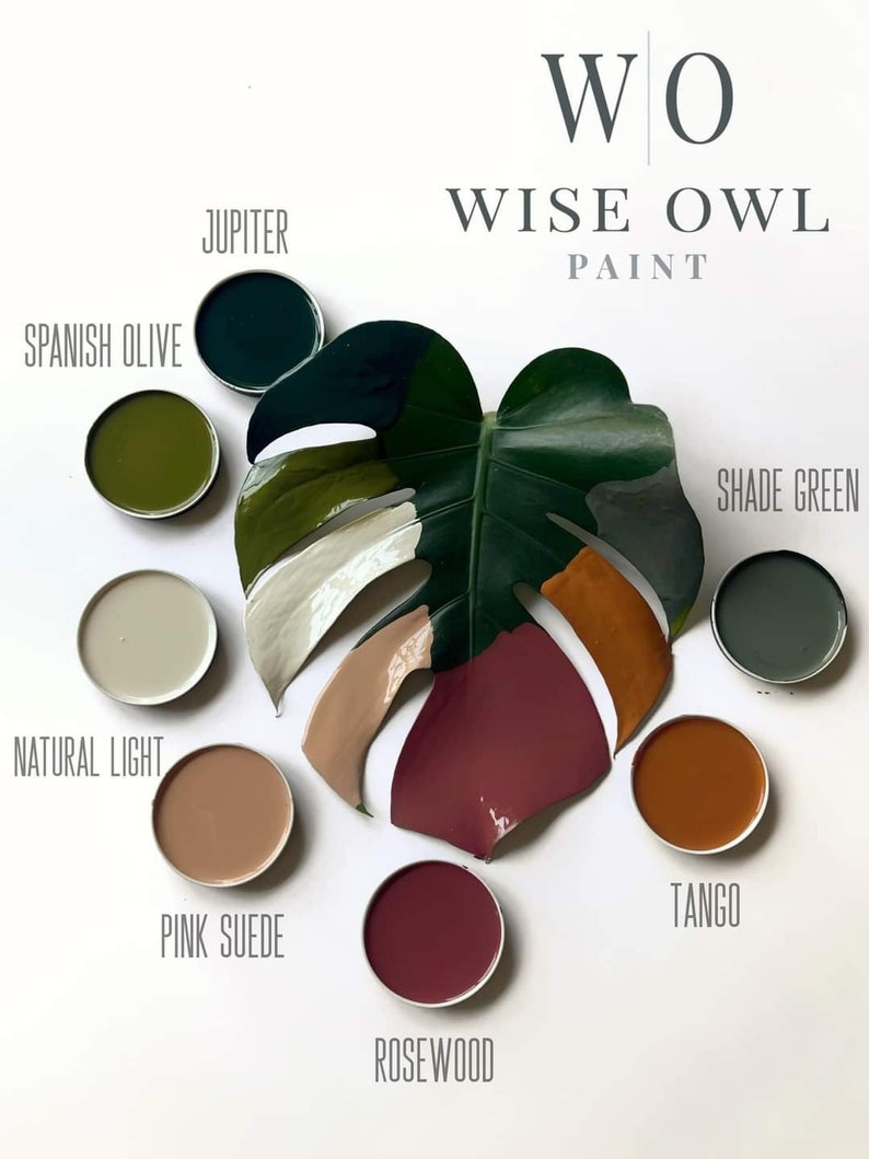 May include: A collection of paint samples in small jars, arranged around a large green leaf. The paint colours are: Spanish Olive, Jupiter, Natural Light, Pink Suede, Rosewood, Tango, and Shade Green. The text "WO WISE OWL PAINT" is at the top of the image.