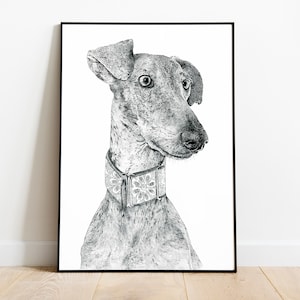 Greyhound Illustration (B&W)  - Signed Art Print | Greyhound Dog Gift idea | Dog Wall Decor