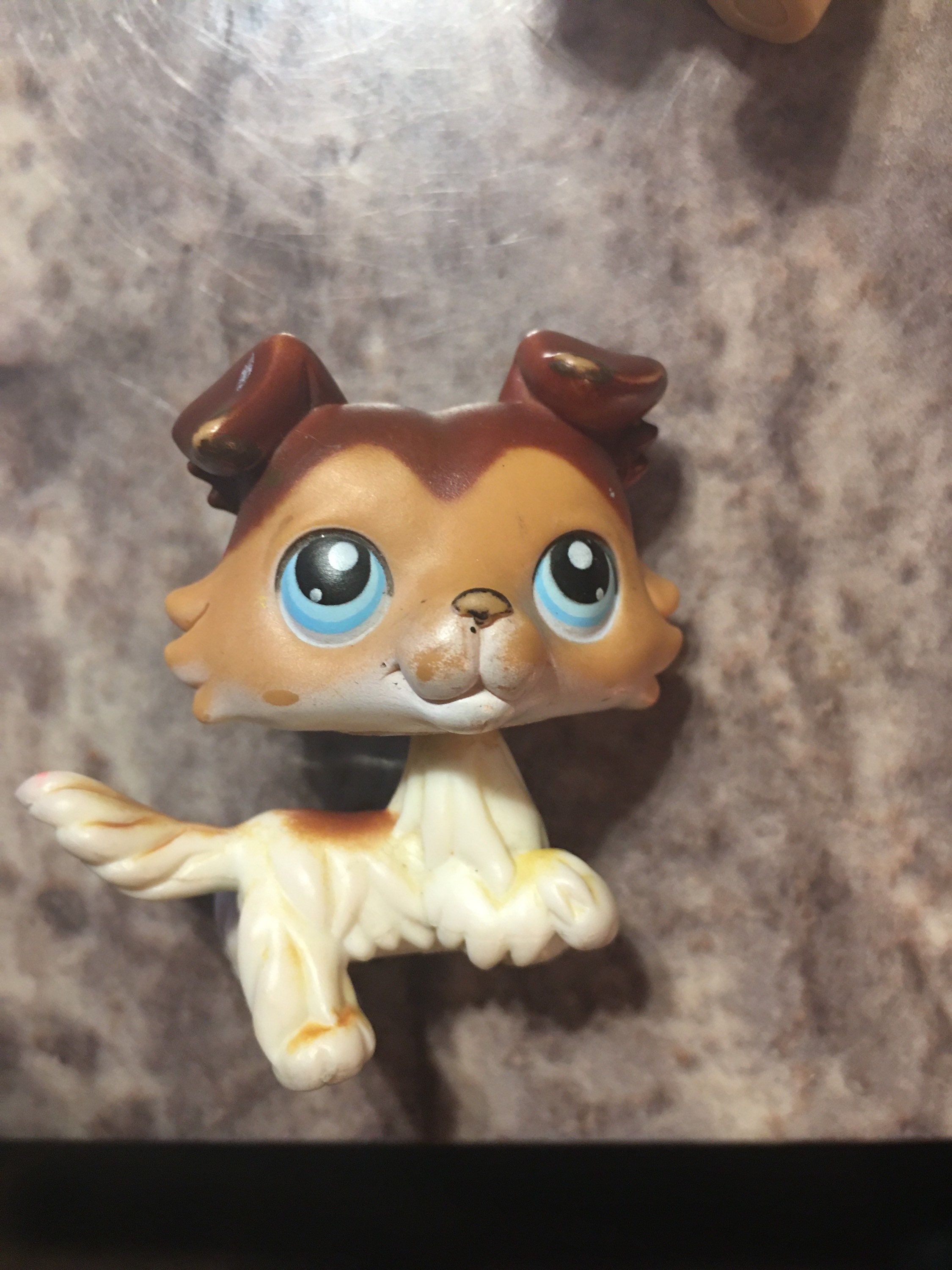 Authentische Salbei lps 54 lps Hund Etsy