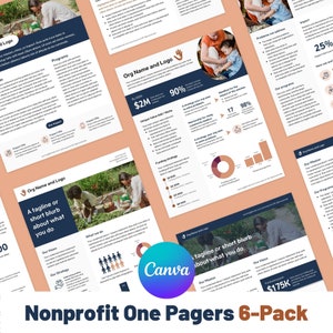 One Pager Nonprofit Canva Templates, Editable Infographic, Organization Overview, Program Handout Summary, Non Profit Charity Profile