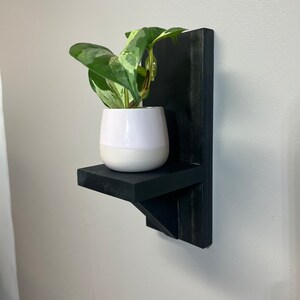 Rustic Wall Shelf: Custom Plant Display