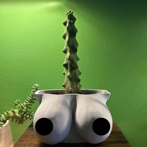 Breast Planter Pot (plant not included)