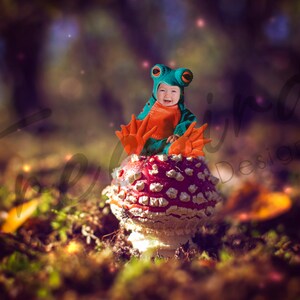 Magic Mushroom Backdrop / Background for Photoshop
