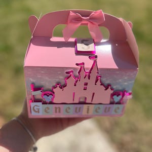 Disney world Disney land davor boxes, favor boxes, kids themed favor boxes, party