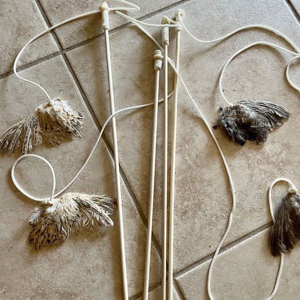 All Natural Quail Wing Cat Toys