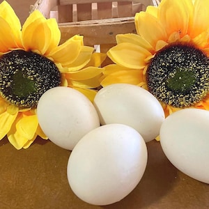 May include: Four smooth, white, oval-shaped eggs are arranged in a cluster in front of two large, vibrant yellow sunflowers with dark brown centers. A small portion of a light-colored wooden basket is visible behind the flowers.