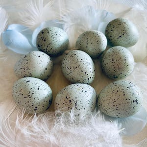 May include: Nine speckled, pale green eggs rest on a bed of white feathers and a few light blue petals. The eggs are oval-shaped with dark brown speckles, creating a natural, rustic aesthetic. The arrangement suggests a theme of spring or nature.