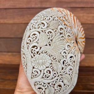 Humming bird Hand carved Shell ( nautilus ) , real and natural sea shell , room decor and gift