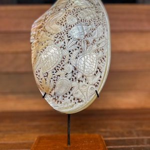 Aquarium Hand carved Shell ( Big) , real and natural sea shell , room decor and gift
