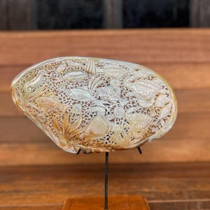 Aquarium Hand carved Shell ( Big) , real and natural sea shell , room decor and gift
