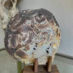 Dragon Hand carved Shell mother of pearl, real and natural sea shell , room decor and gift