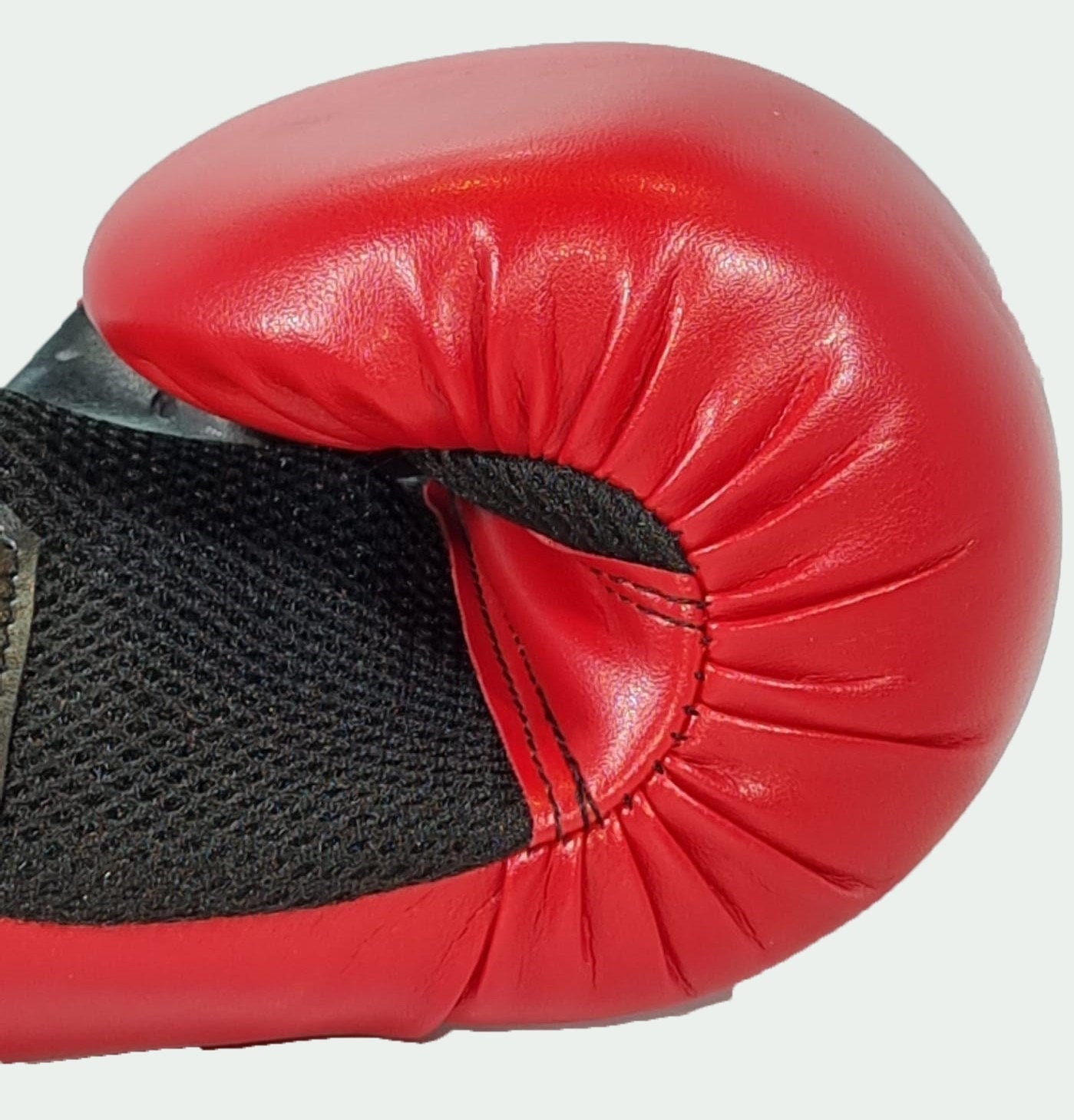 F.T Sports Double Protection Boxing Gloves Etsy