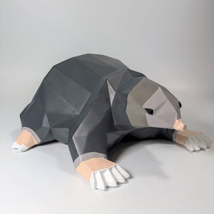 Runescape Mole Pet Mole OSRS Old School Runescape