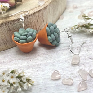 May include: A pair of silver dangle earrings featuring miniature succulent plants in terracotta pots. The succulents are a light green color and the pots are a warm brown.