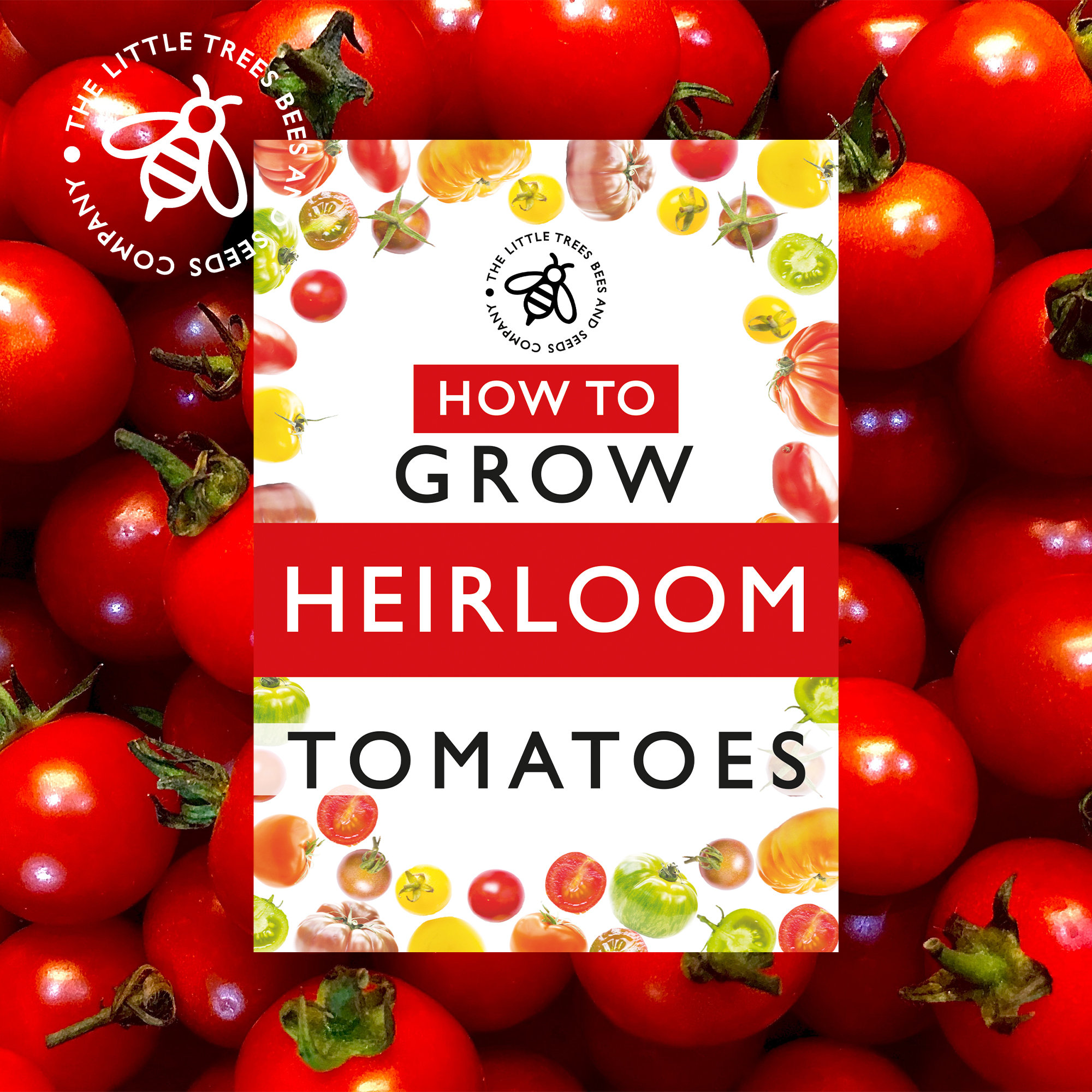 Heirloom Tomato Seed Kit 10 X Heirloom Seed Varieties Etsy UK