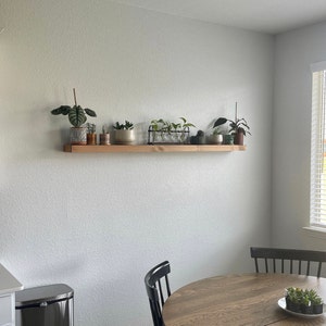 floating shelf for plants