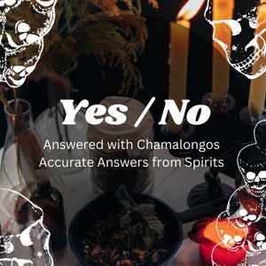 Yes/No Quick & Accurate with Chamalongos /Cori shells - Palo Mayombe Same Day Delivery