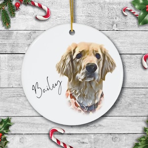 Pet Portrait ornament |Christmas ornament | personalized pet lover gift| personalized pet ornament| Dog ornament | digital pet portrait gift
