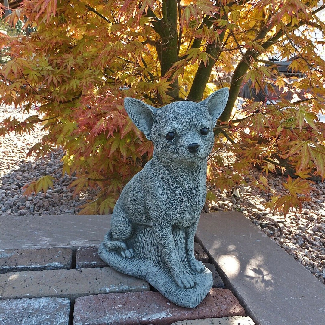 Garden Statue Chihuahua Outdoor or Pet Memorial Concrete Dog Etsy
