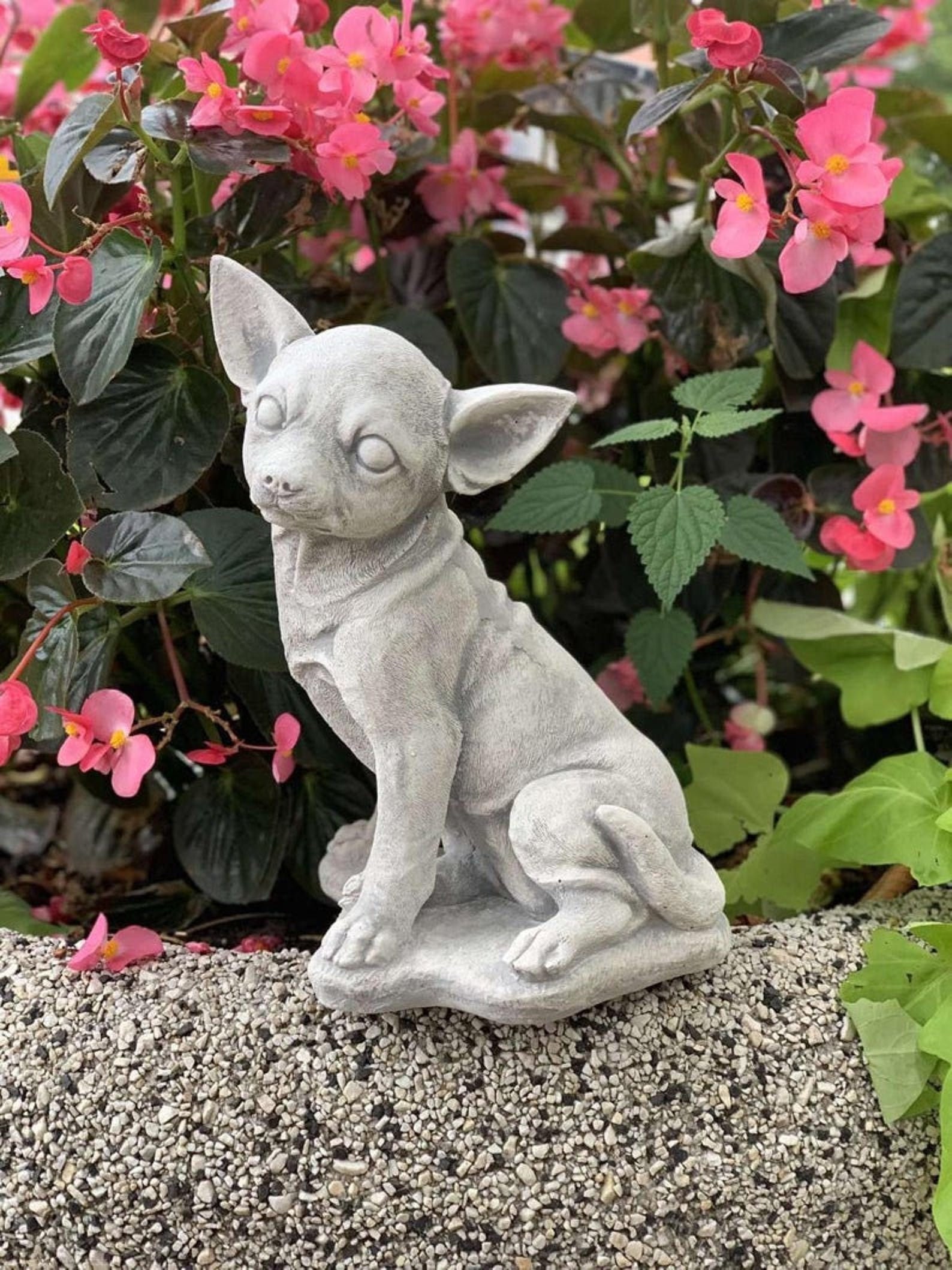 multi colored chihuahua statue