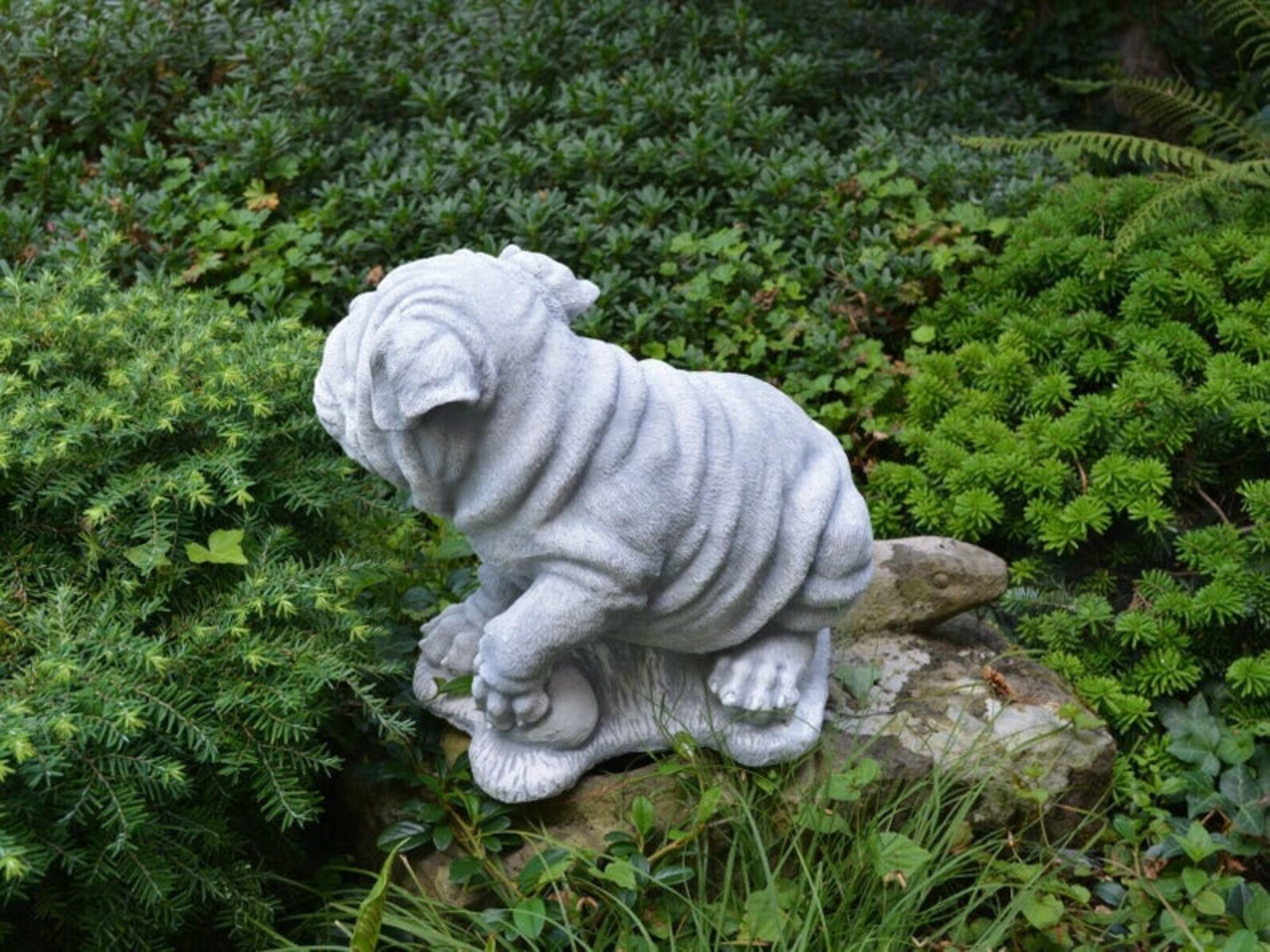 SHARPEI STATUE. Concrete Dog Statues Pet Memorial Statue Etsy